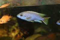 /album/fotogaljerjeja/img-0238-jpg/