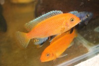 /album/fotogaljerjeja/img-4665-jpg/