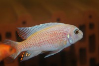 /album/fotogaljerjeja/img-5421-jpg/