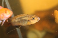 /album/fotogaljerjeja/img-5429-jpg/