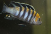 /album/fotogaljerjeja/img-5840-jpg/