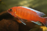 /album/fotogaljerjeja/glkjcbn53ne-jpg/