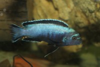 /album/fotogaljerjeja/img-6701-jpg/