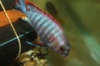 /album/fotogaljerjeja/img-6688-jpg/