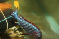 /album/fotogaljerjeja/img-6690-jpg/