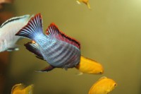 /album/fotogaljerjeja/img-6692-jpg/