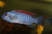 /album/fotogaljerjeja/img-6697-jpg/