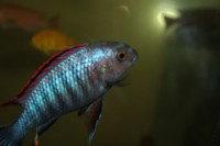 /album/fotogaljerjeja/img-6698-jpg/