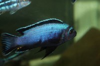 /album/fotogaljerjeja/img-6700-jpg/