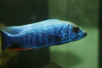 /album/fotogaljerjeja/img-6813-jpg/