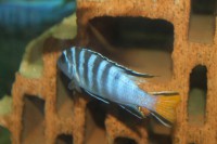 /album/fotogaljerjeja/img-6783-jpg/