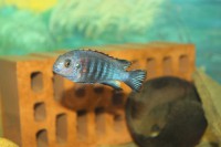 /album/fotogaljerjeja/img-6787-jpg/