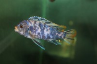 /album/fotogaljerjeja/img-6796-jpg/