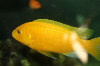 /album/fotogaljerjeja/img-6797-jpg/