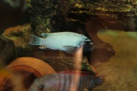 /album/fotogaljerjeja/img-6799-jpg/