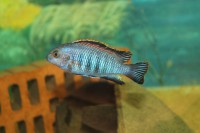 /album/fotogaljerjeja/img-6801-jpg/