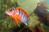 /album/fotogaljerjeja/img-6805-jpg/