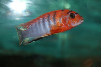 /album/fotogaljerjeja/img-6807-jpg/