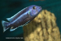 /album/fotogaljerjeja/img-9553-cr2-jpg/