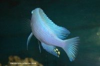 /album/fotogaljerjeja/img-9559-cr2-jpg/