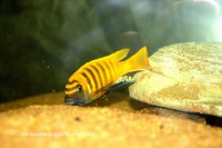 /album/fotogaljerjeja/img-9564-cr2-jpg/