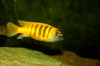 /album/fotogaljerjeja/img-9567-cr2-jpg/