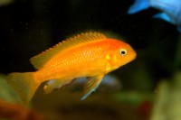 /album/fotogaljerjeja/img-9597-cr2-jpg/