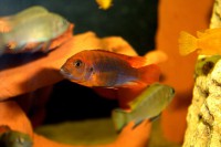 /album/fotogaljerjeja/img-9604-cr2-jpg/