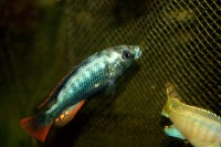 /album/fotogaljerjeja/mbonirva-cr2-jpg/