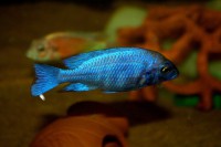 /album/fotogaljerjeja/tanzaniya-cr2-jpg/